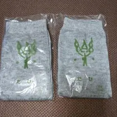 Item thumbnail for item 2990f69a-3bda-4ee8-9457-9d2f287d39b2