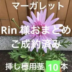 Rin様 リクエスト 2点 まとめ商品