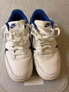 NIKE ガンマフォース　ホワイト ブルー スニーカー メンズのサムネイル