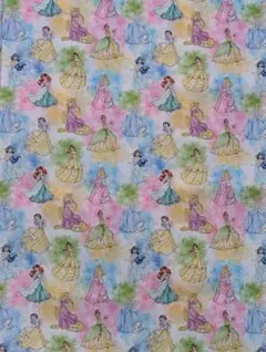 ディズニープリンセス 生地146×50