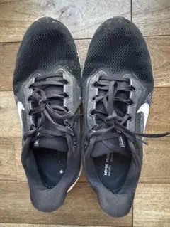 NIKE ペガサス41 26.0cm
