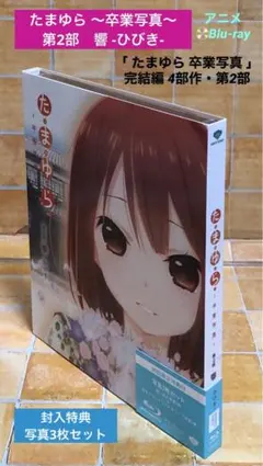 Item thumbnail for item c4a843d7-1917-45a3-accc-a246c4b59d30