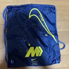 ナイキシューズケース