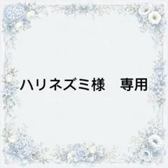 ハリネズミ様　専用