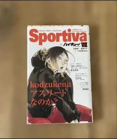 ハイキュー！！ショーセツバン！！VII 特典つき