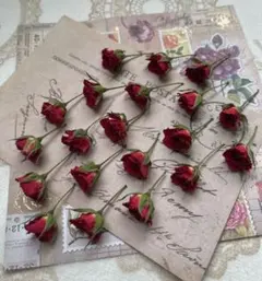 ミニバラ ♡20本♡ ドライフラワー