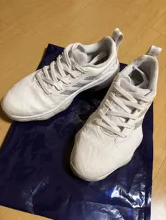 Item thumbnail for item 25f05852-eb44-49b7-a664-1681f4e2be12