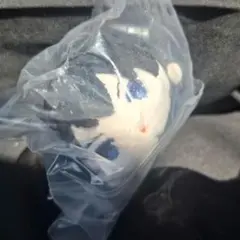 ハイキュー もちもちマスコットミニ 影山飛雄
