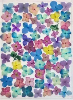 kunikunin様 リクエスト 2点 まとめ商品