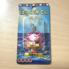 2025年最新】佐賀限定キティの人気アイテム - メルカリ