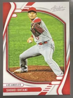 Mプロフィール必読 次回発送 11/30様 リクエスト 2点 まとめ商品