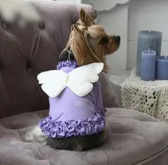 ANNA SUI 犬服 ちょうちょ 2Lのサムネイル