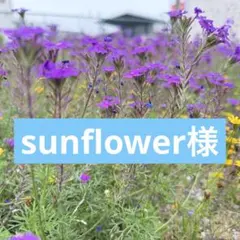 sunflower様 リクエスト 3点 まとめ商品