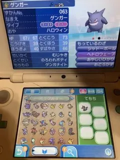 ポケットモンスターサン　パッケージ付き