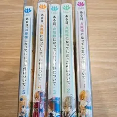 ある日、お姫様になってしまった件について