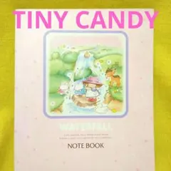 TINYCANDY ノート ビクトリアファンシー タイニーキャンディ 昭和レトロ