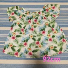 Item thumbnail for item 5015f56f-6d6a-4295-9f6e-519e02244ee9