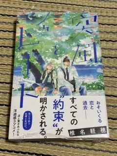 新品シュリンク装 突風とビート ３巻