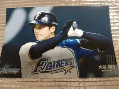 大谷翔平 2016 ハイライトフォト No.144 日本ハム 球団公式写真