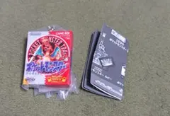 ポケモン　パッケージ＆ゲームカードキーホルダーコレクション　レッドのサムネイル
