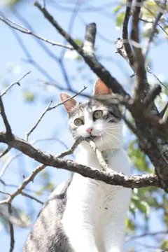 【S様専用】おまとめ購入ページ