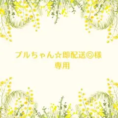 プルちゃん☆即配送◎様　専用
