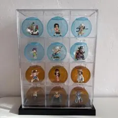 ワンピの実／まとめ売り／透明ショーケース付き