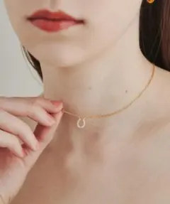 ciite' surgical stainless ホースビジューネックレス