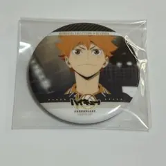 日向翔陽 ハイキュー!!／缶バッジ メモリアルコレクション