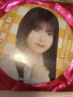 Item thumbnail for item d7dc6f17-6e06-4bb1-84dd-f654436fe4e4