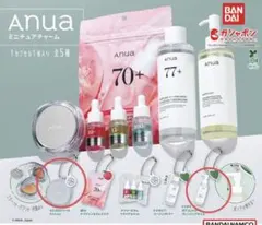アヌア　Anua ミニチュアチャーム　ガチャガチャ　2つセット