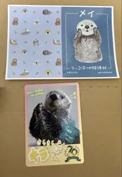 メイちゃんキラちゃん　カード&ステッカー