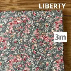 LIBERTY テイタム グレー 3m タナローン