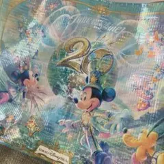 【東京ディズニーシー 20周年 バッグ】美品　Disney タイムトゥシャイン