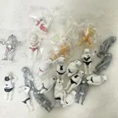 鯉人 ガチャガチャ 21体セット
