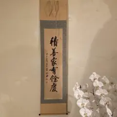 掛軸　大徳寺紫野　小田雪窓筆　一行書　「尽日牡丹紅」　共箱　M　4292 掛軸 大徳寺紫野 小田雪窓筆 一行書 「尽日牡丹紅」 共箱 M 4292
