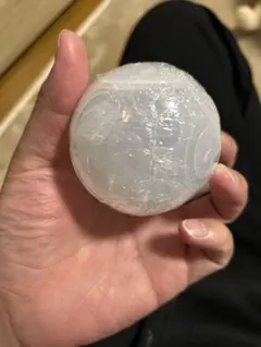 ワンピの実　ボニー　シュリンク付き