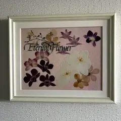 2026年最新】押し花 ふしぎな花倶楽部の人気アイテム - メルカリ