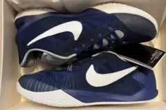 イ*ギ様 箱付き美品 NIKE SB ZOOM AIR URL Danny Su イ*ギ様 箱付き美品 NIKE SB ZOOM AIR URL Danny Su - メルカリ