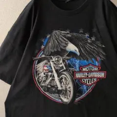 希少サイズ☆ハーレーダビッドソン イーグル サンダー Tシャツ ブラック 3L