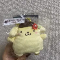 【サンリオ総選挙】サンリオキャラクターズ　サンリオ一番くじ　ポムポムプリン