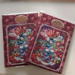 《新品未使用》東京ディズニーランド 20周年記念スーベニアメダルBook2冊