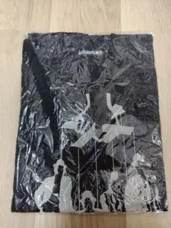 ストレイテナー tシャツ XL 新品 未使用 未開封 STRAIGHTENER - メルカリ