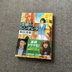 シンデレラ 文学・小説