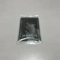 SEVENTEEN ウエハーストレカ ウジ WOOZI