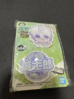 さぼ様専用です