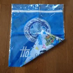 ホーリーホック　グッズ