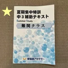 早稲アカ⭐︎夏季集中特訓⭐︎中3補助テキスト⭐︎難関クラス⭐︎英語