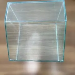 ガラス水槽 ゆらゆらガラス 当時物 昭和レトロ ヴィンテージ