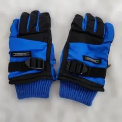 スノー手袋 アクセサリー